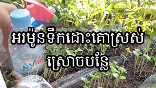 ធ្វើជីធម្មជាតិ |EP.1 | អ័រម៉ូនទឹកដោះគោស្រស់ស្រោចបន្លែ