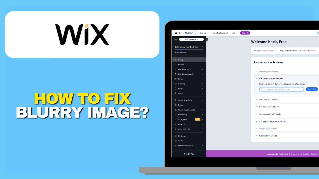 Как исправить размытые изображения в Wix (рабочее краткое руководство 2025)