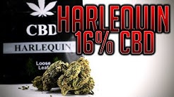 HARLEQUIN 16% CBD | UK LEGAL CBD WEED | LooseLeaf.cbd