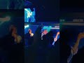 【秘密のケンミンSHOW極の曲】「春色」をライブで歌ったら会場が感動に包まれた🌸