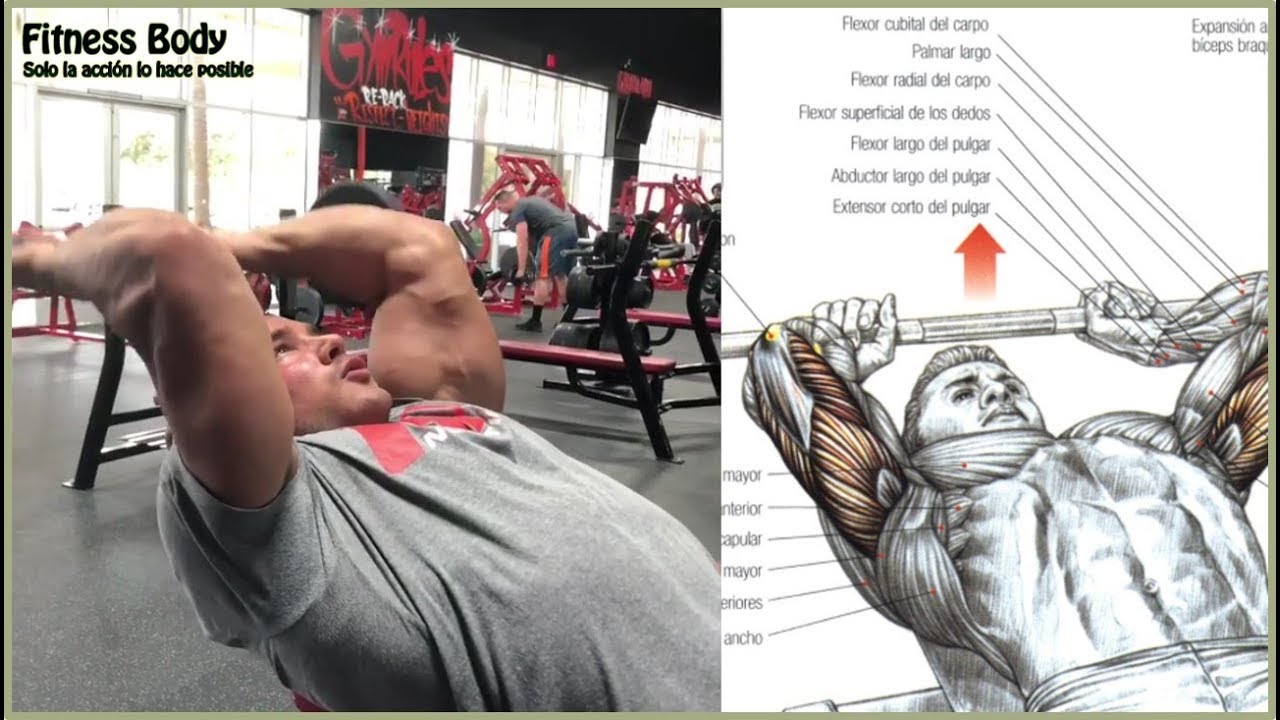 10 Ejercicios para el Tríceps (10 Triceps Workout) | Fitness Body 10 Ejercicios para el Tríceps (10 Triceps Workout) | Fitness Body #1