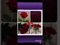 حبيت💗 conefesse your love🙈🔥🔪#ضد_الدريم_كور #عالم_الفيك #blackpink #song #music #audio #kpop #عشقت
