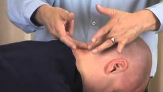 Boulder Chiropractor Network Spinal Analysis Level 2