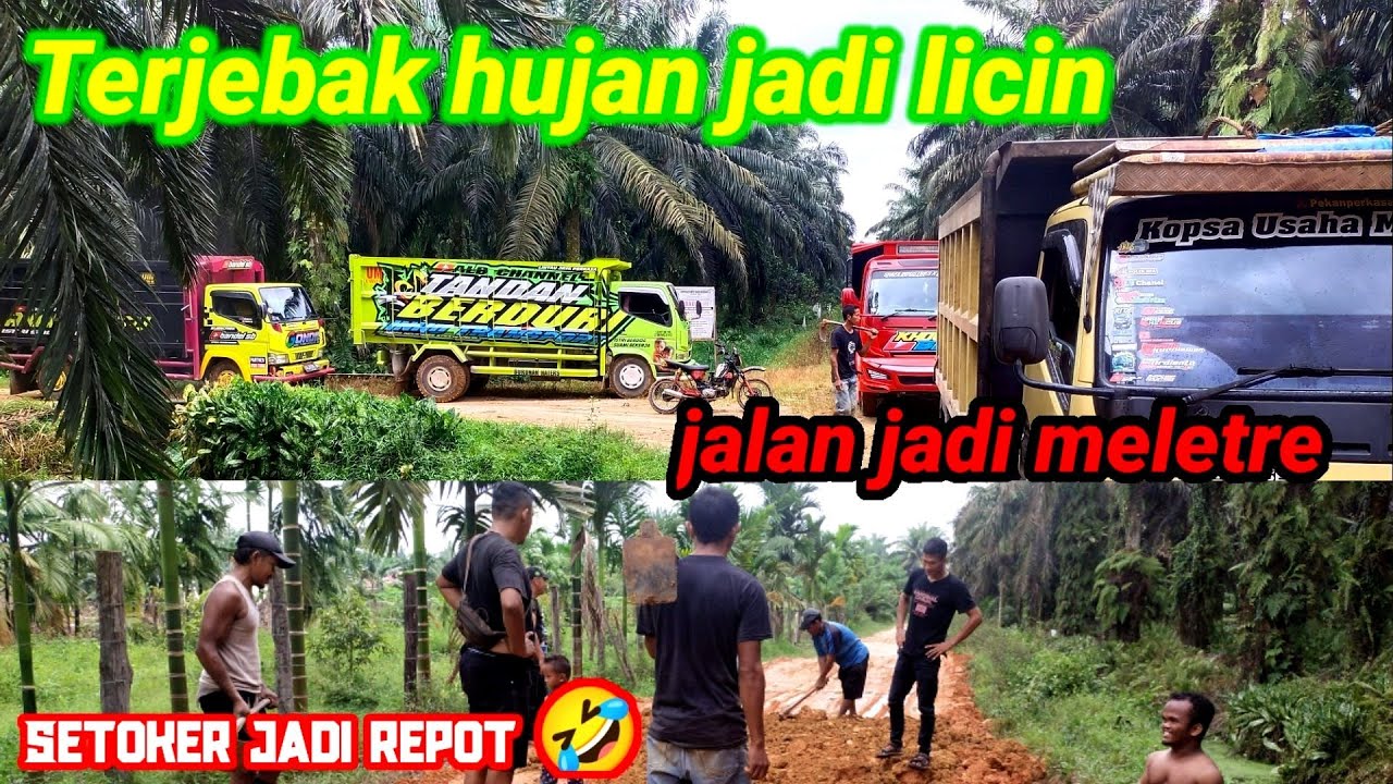 Akibat kalo Nimbun terjebak hujan jadi begini....