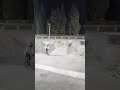 How to do a flip on MTB #mtb #flip #stunts #bike