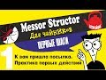 Муравьи с нуля! Messor structor. Для чайников! №1