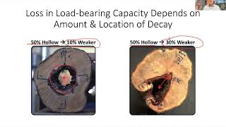 How Do Advanced Decay Detecting Devices Affect Likelihood of Failure Ratings... TREE Fund Webinar