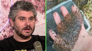 Celebrity This TikTok account is causing an ecological disaster Profile