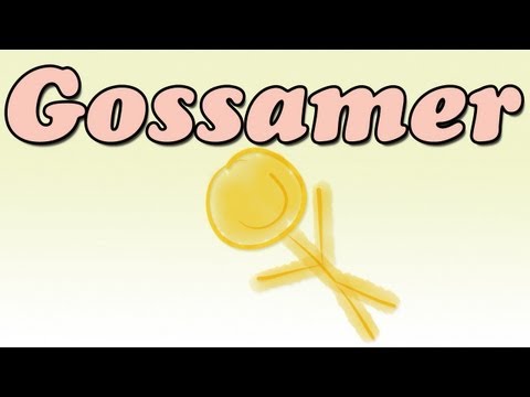 Gossamer by Lois Lowry (Book Summary and Review) - Minute Book Report