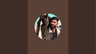 Ankit Agrawal Official Is Live