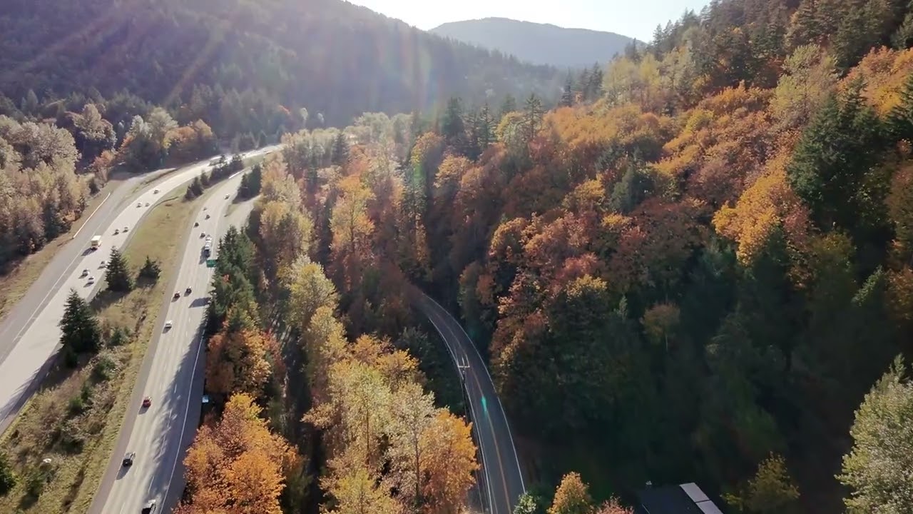 20251021 I90 autumn foliage