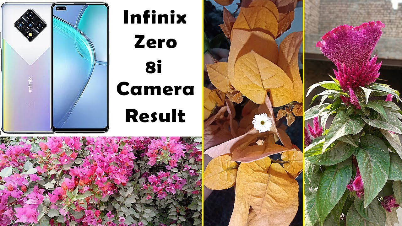 Infinix Zero 8i Camera Review | Infinix Zero 8i Camera Samples