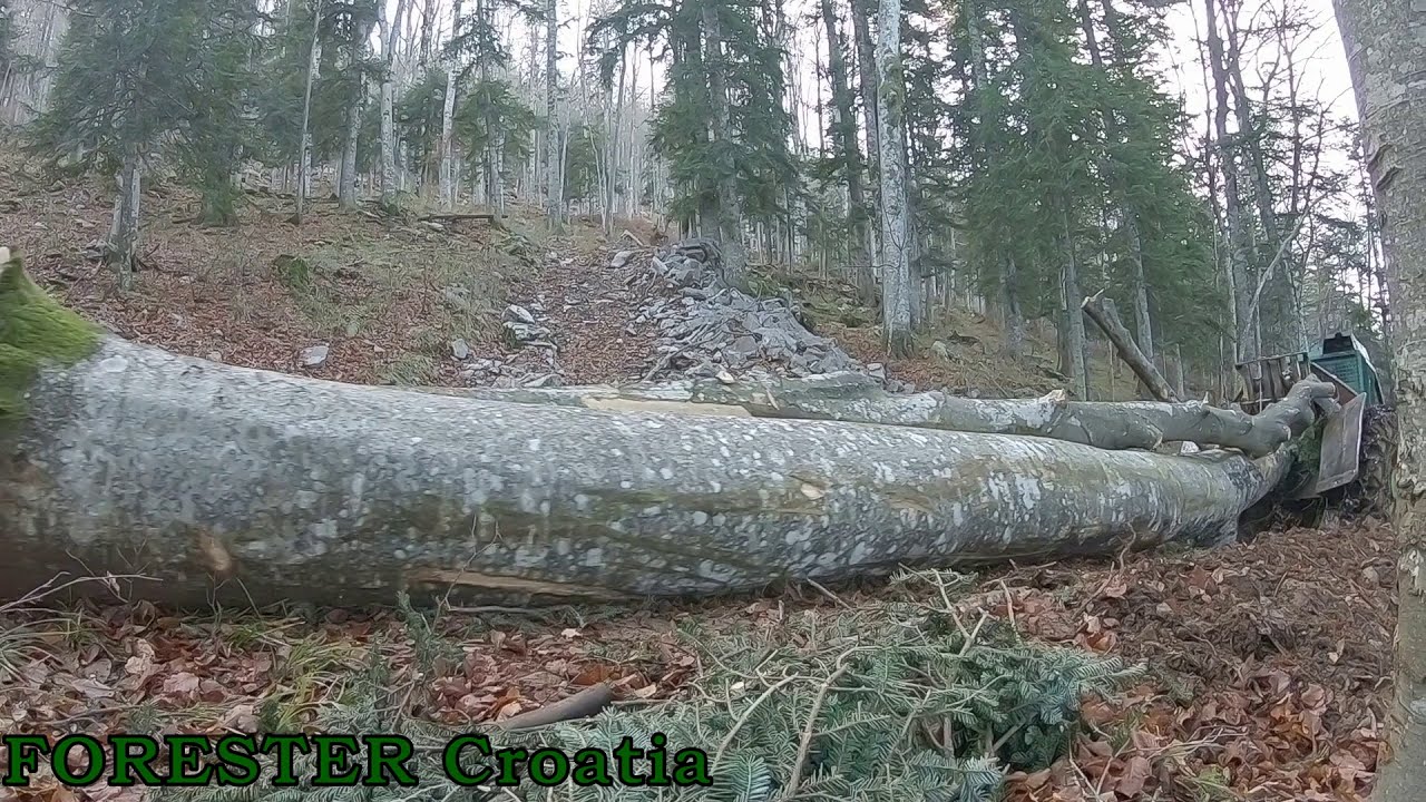 Timberjack 240C - YouTube