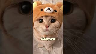 有華「Baby you」(Yuka Ver.) 😻 #cat #cute #love #babyyou #shorts
