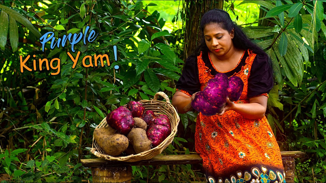 Violet colour King Yam! Purple steam buns or Pink Congee. Which is your favourite? | Traditional Me