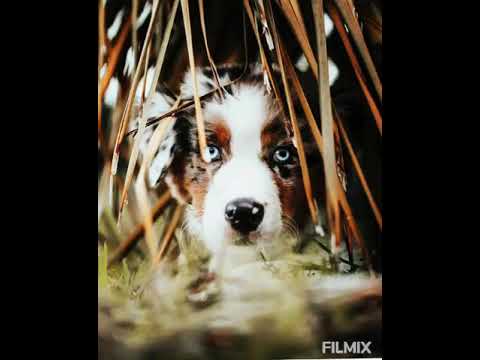 Homenagem ao rei Duke - Flow Key & Caio G - Um Lugar