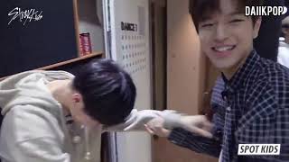 Stray Kids en un Omegaverse