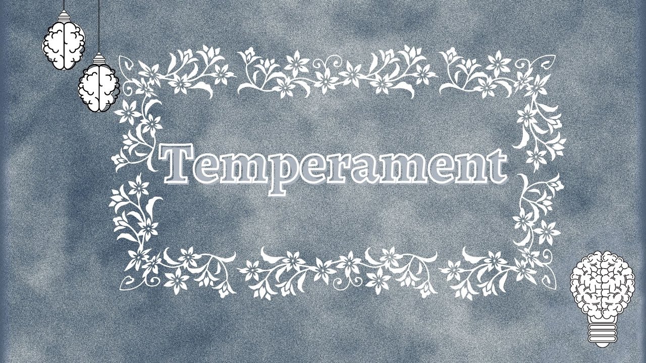 ABC psychologii TEMPERAMENT Mały Słownik Psychologiczny (okiem Wozinskiej)