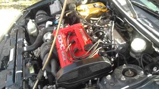 95 Eclipse gst help no start