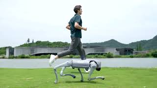 Go2 companion robot