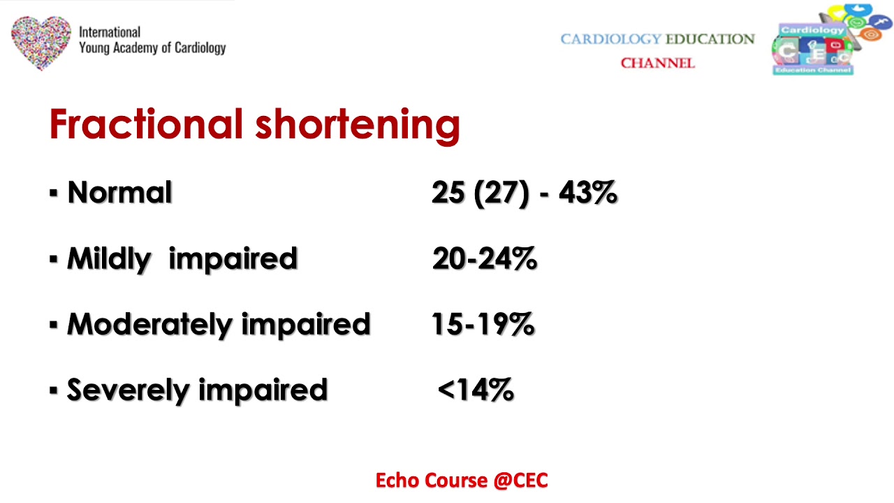 Episode 4: Assessment of LV Systolic Function