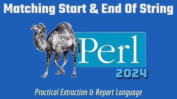 Perl Regex Code Example: String Matching Start & End 2024