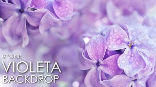 IZ*ONE Violeta Video Background