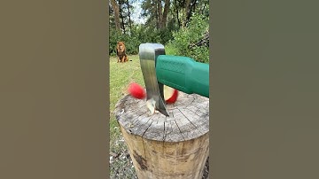 Easy Way To SHARPEN an AXE