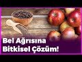 Bel Ağrısına Bitkisel Çözüm!