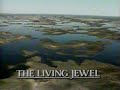 Okavango: Jewel of the Kalahari (PT2) (1988)