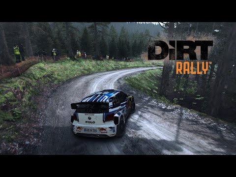 Двое в кабине, не считая контентмейкера - DIRT RALLY
