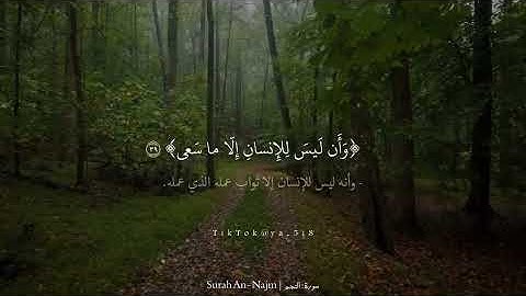 ﴿وَأَن لَيسَ لِلإِنسانِ إِلّا ما سَعى﴾ | سورة : النجم