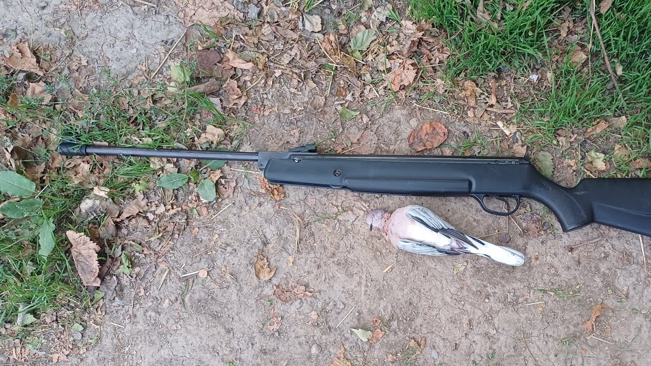 Охота на ГОРЛИЦУ, с пневматикой (воздушкой) хатсан 90. Часть 2. - YouTube