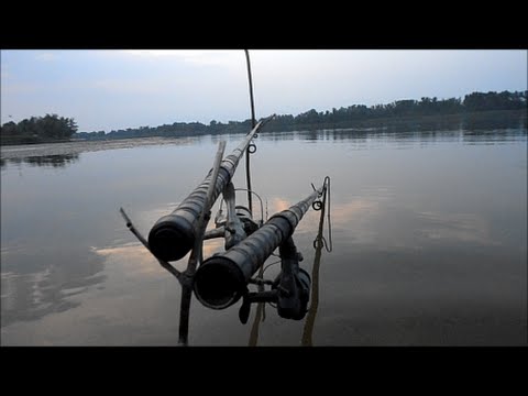 На что ловится окунь или обитатели прибрежных водорослей.My fishing.