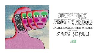 Video thumbnail of "JEFF The Brotherhood - Camel Swallowed Whole [Official Audio]"
