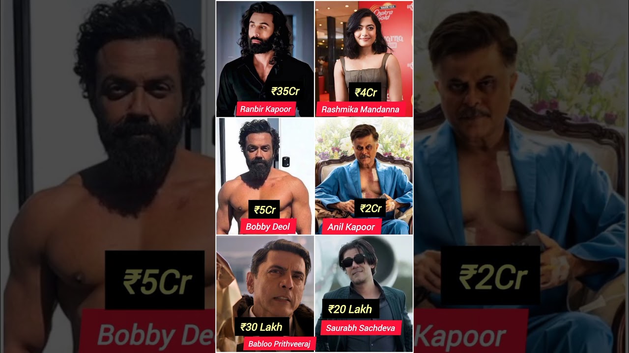 Animal Movie Cast Salary Revealed 🔥🤑 | Ranbir Kapoor to Bobby Deol Fees