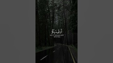 تلاوة خاشعة لي فضيلة الشيخ ياسر الدوسري ☺️🥺 #القرآن_الكريم #تلاوة_خاشعة #ياسر_الدوسري