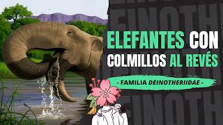 ¿Qué son los DEINOTÉRIDOS? - Las "bestias terribles" del Cenozoico