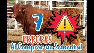 Top 7  Errores al comprar un Toro