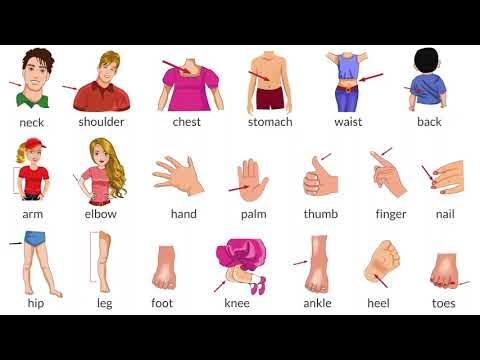 Rotaruda soxta porno Lateks orgiya porno video