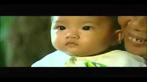 Gà Trống Nuôi Con   Vân Quang Long   Xem video clip   Zing Mp3 flv