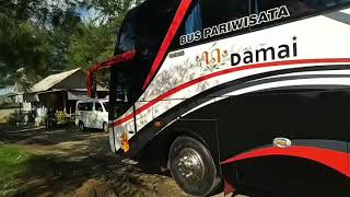 Bus damai shd my hat telolet sambil keluar parkiran pantai glagah