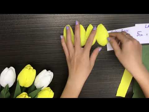 Video: Cách Làm Hoa Tulip