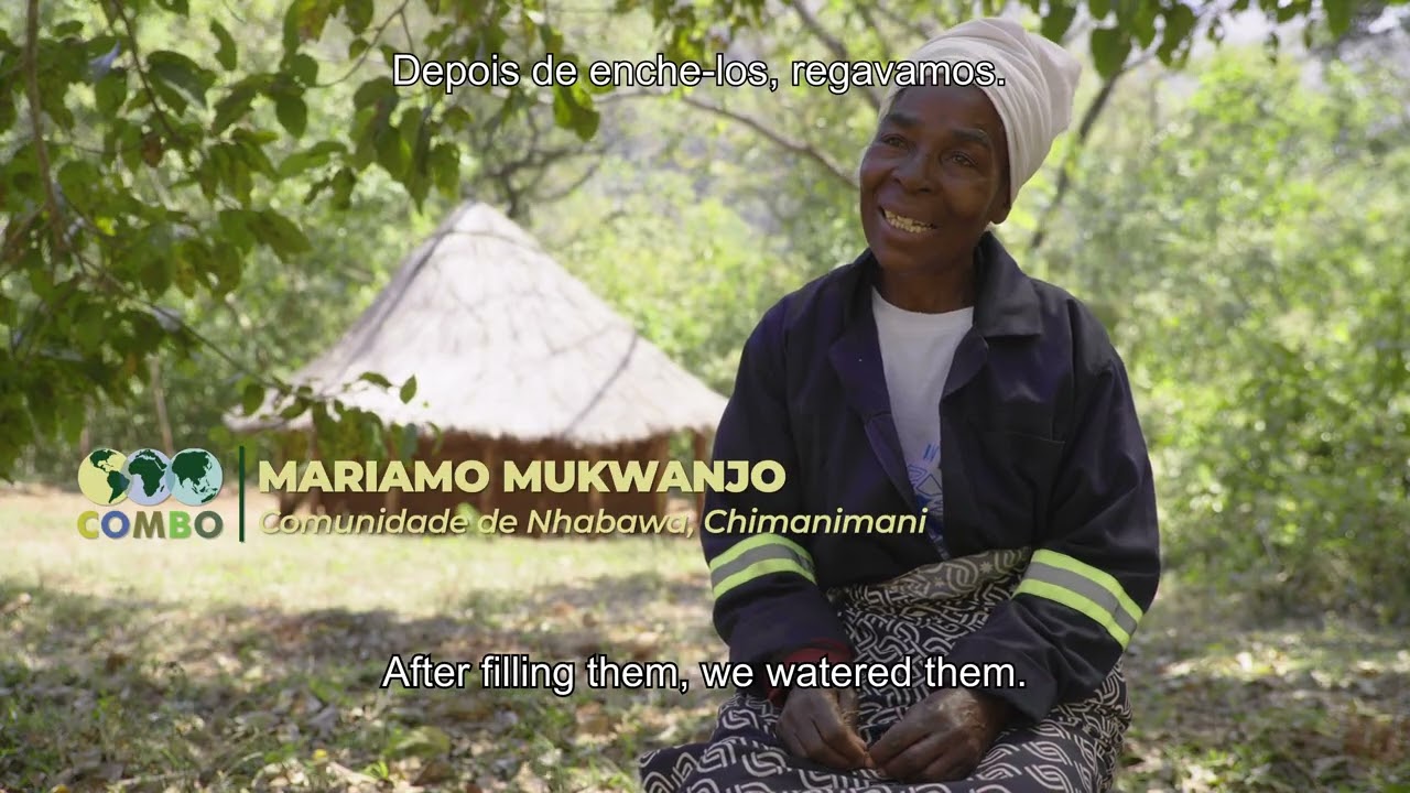 Projectos Piloto de Contrabalanços de Biodiversidade em Moçambique -   Resumo