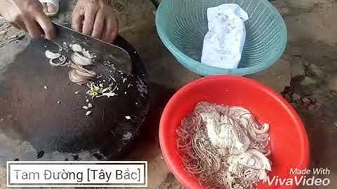 Món cá gỏi của dân tộc thái [Tây Bắc]