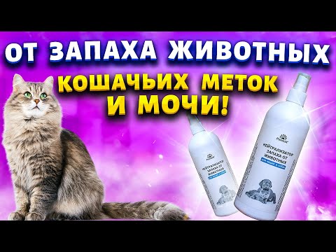 Проще способа не знаю.  Как удалить запах мочи кошек и собак, избавиться от кошачьих меток.