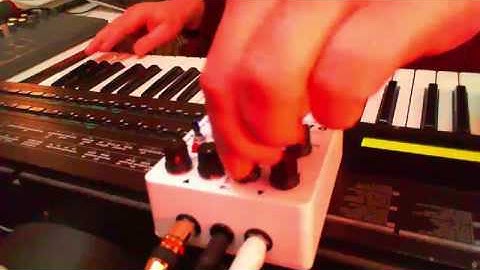 Red Panda Particle (first try)