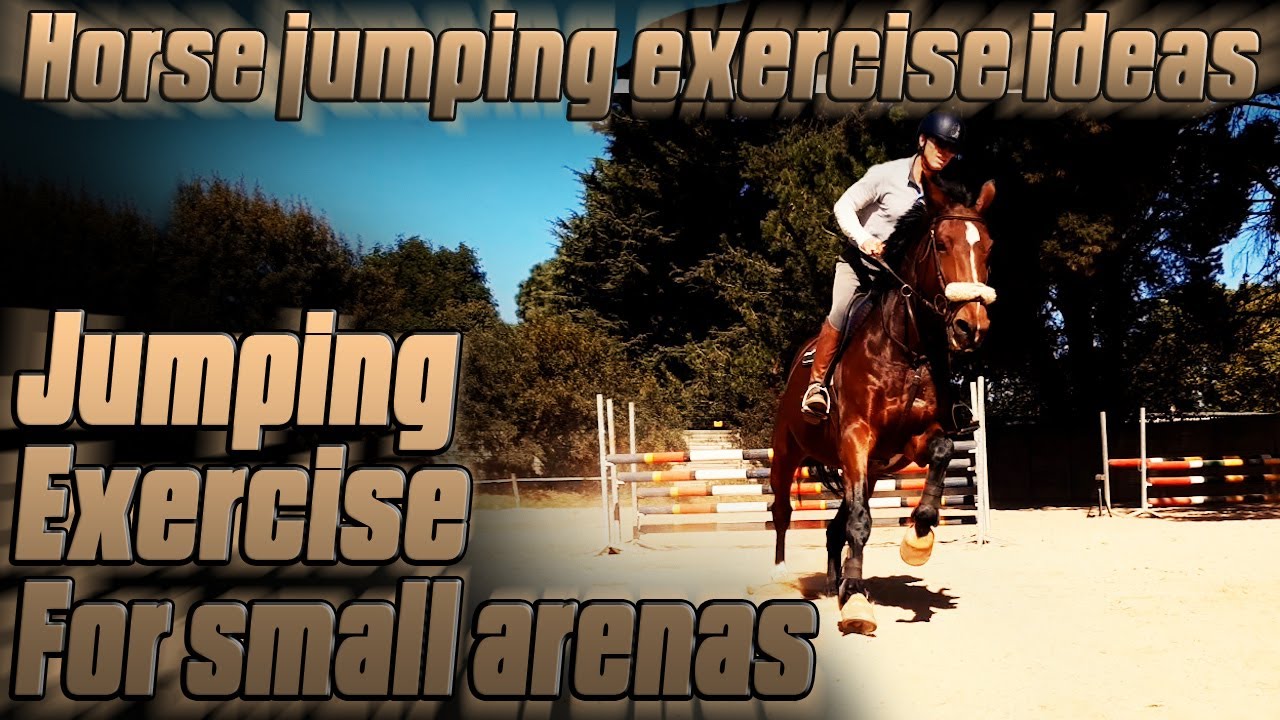 Horse jumping exercise ideas Showjumping exercise for small arenas