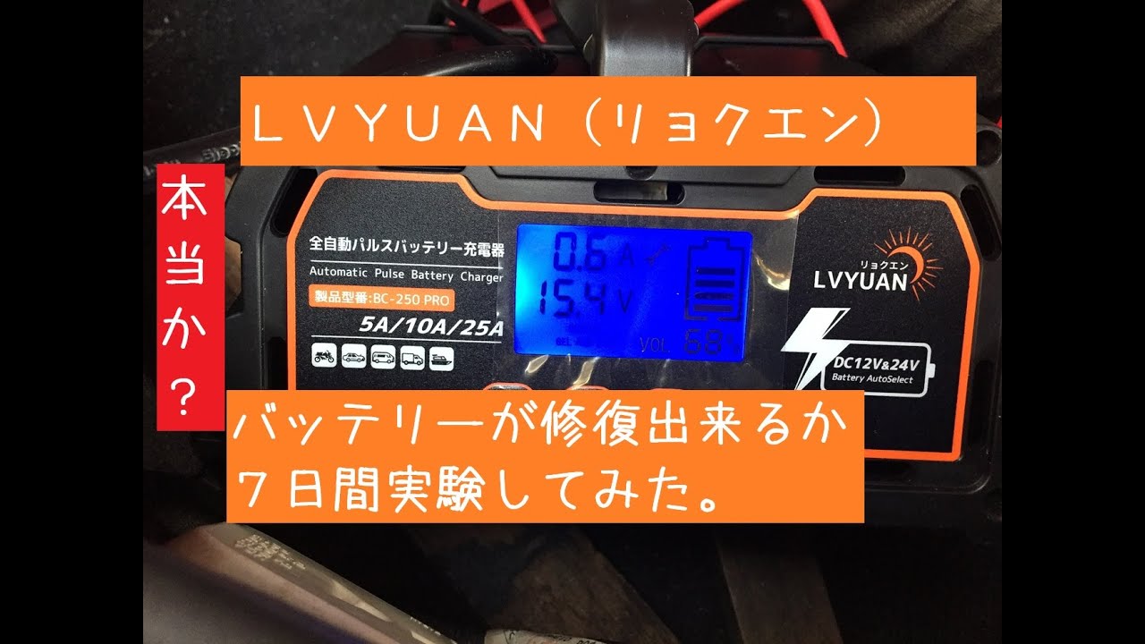 新品 25A 自動パルスバッテリー充電器 12V/24V 維持充電方式 LVYUAN
