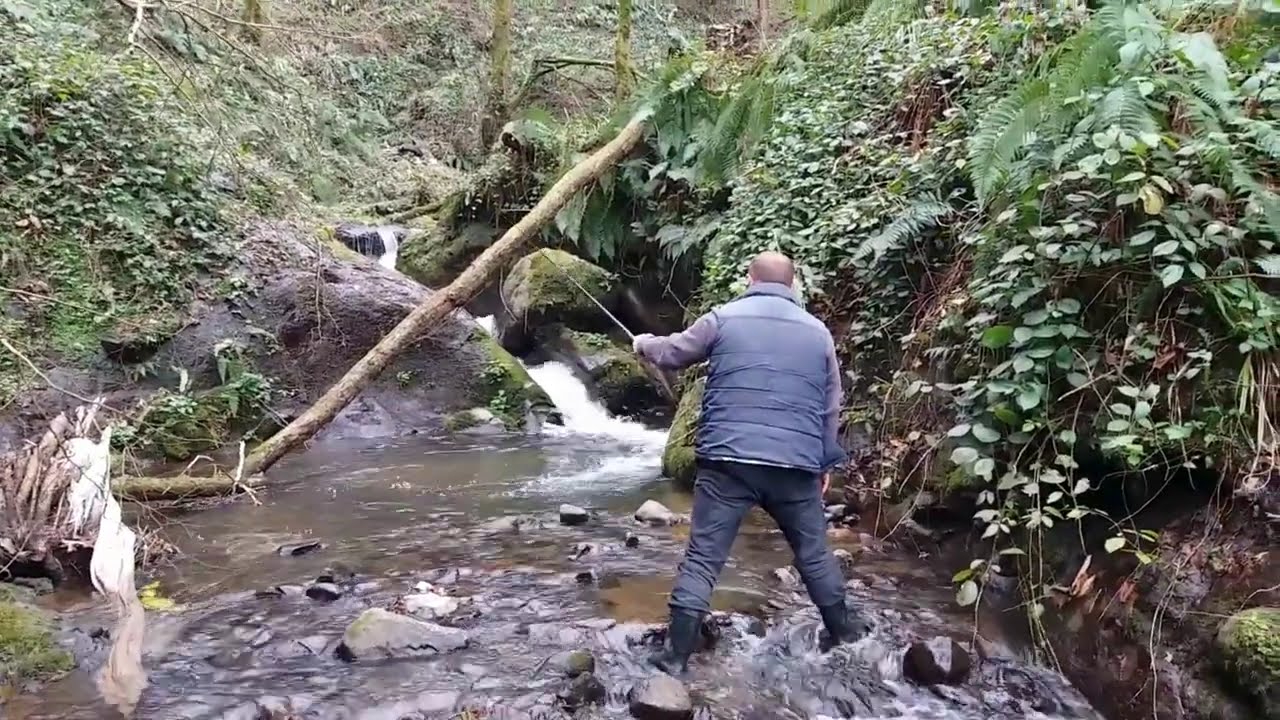 Kırmızı benekli Alabalık avı